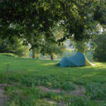Groen kampeerveld met een tent erop in Gelderland
