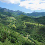 Groene heuvels in de regio Drôme