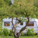 Caravan achter een boom op Walcheren
