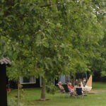 Drie personen in een stoel onder een boom op Minicamping 't Haldert