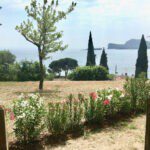 Kampeerveld met bomen bij het Gardameer in Italië