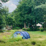 Kampeerveld met tent erop omringd door bomen op de Utrechtse heuvelrug