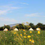 Vier Bell tenten op een camping boerderij in Brabant