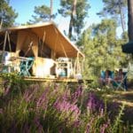 Safaritent op een groen kampeerveld op een Huttopia camping in Frankrijk
