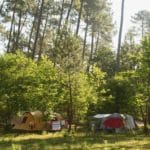 Twee tenten op een camping in het bos in Zuidwest-Frankrijk