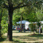 Groen kampeerveld met bomen en een caravan op een camping in Zuidoost-Frankrijk