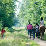 Gezin met paarden en ruiters in de Franse regio Elzas