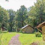 Vier safaritenten op een groen kampeerveld in Limburg