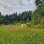 Groen kampeerveld tussen de bomen in de Auvergne