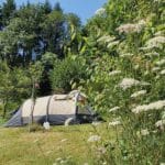 Tent op grasveld omringd door bomen op een natuurkampeerterrein in de Auvergne