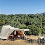 Tent op een kampeerveld omring door bomen in Zuid-Frankrijk