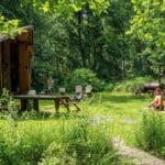 Groen kampeerveld op een natuurkampeerterrein in Drenthe