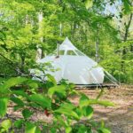 Stargazer tent op een natuurkampeerterrein in Drenthe