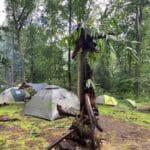 Tenten in het bos op een natuurkampeerterrein in Drenthe