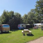 Twee volkswagen campers op een kampeerveld in Zeeland
