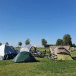 Vier tenten op een groen kampeerveld in Zeeland