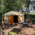 Mongoolse Yurt onder bomen in Noord-Brabant