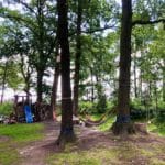 Hangmatten aan bomen op een glamping in Noord-Brabant