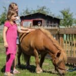 Twee meisjes aaien een pony op Camping en speelboerderij de Steenuil in Brabant